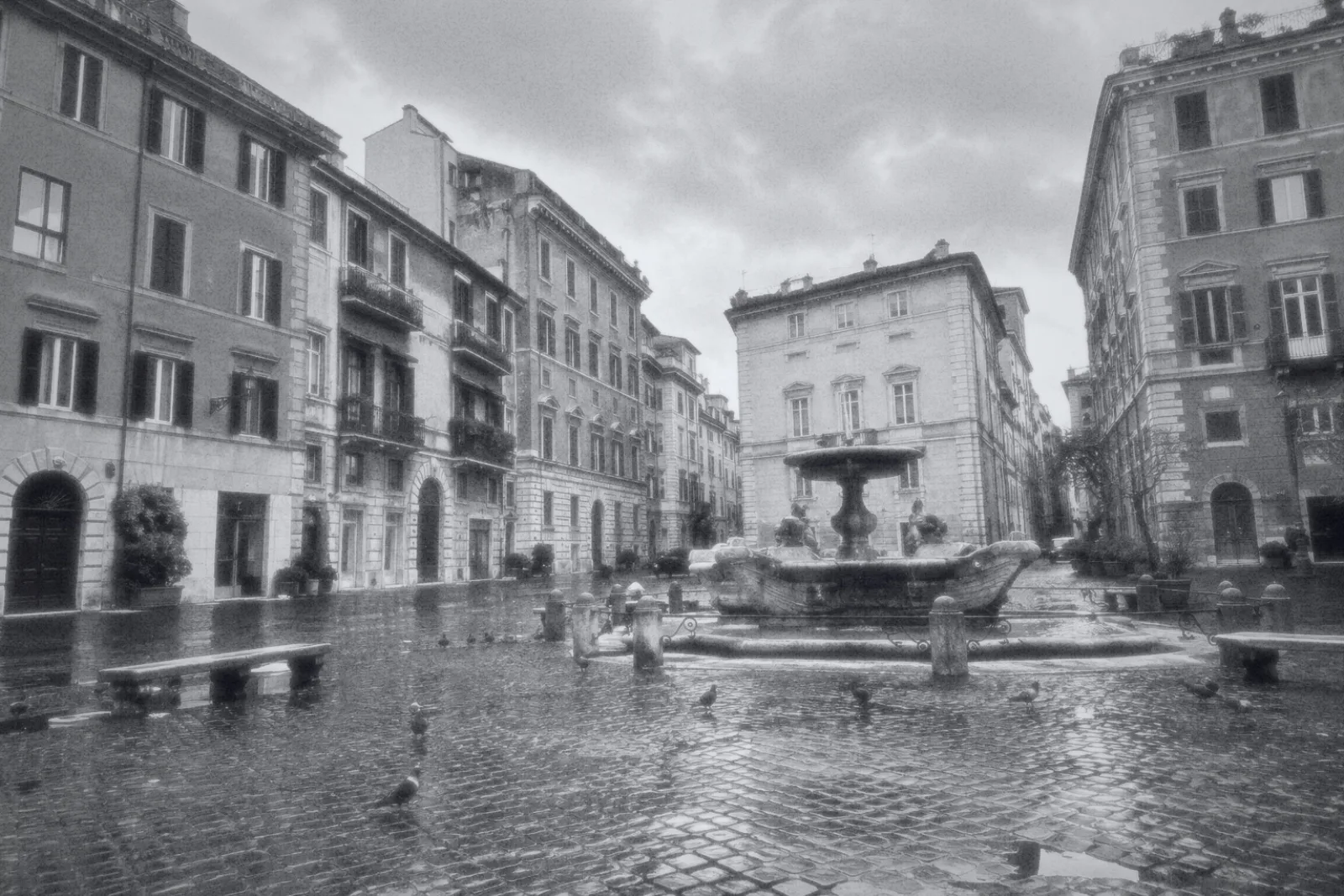 A rainy old town square with a fountain and pigeons, shot on the PRESS 68