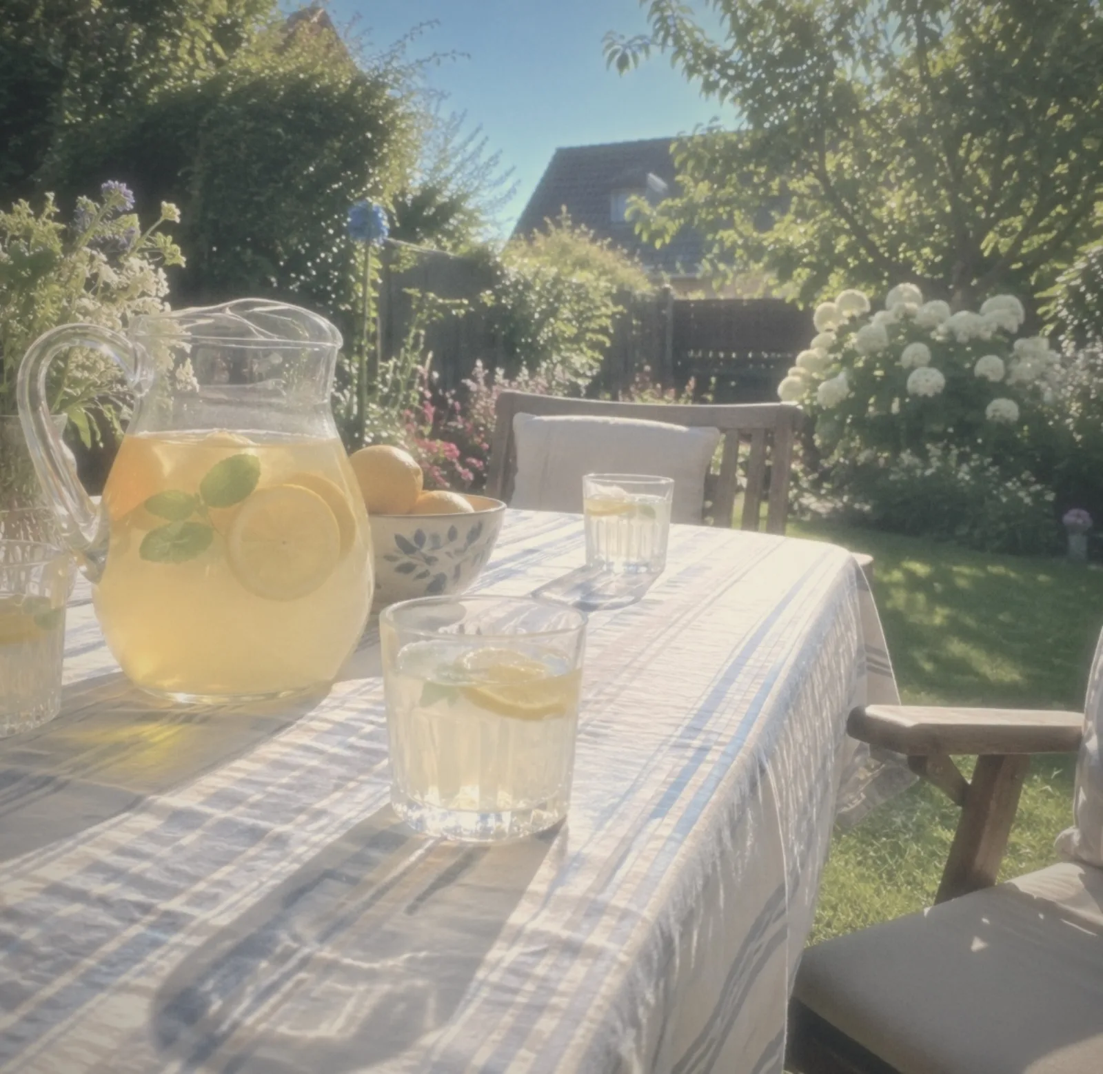 Lemonade and glasses on a garden table in the sun, shot on the PRINT 77